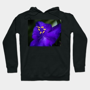 Blue Flower and Stamens Hoodie